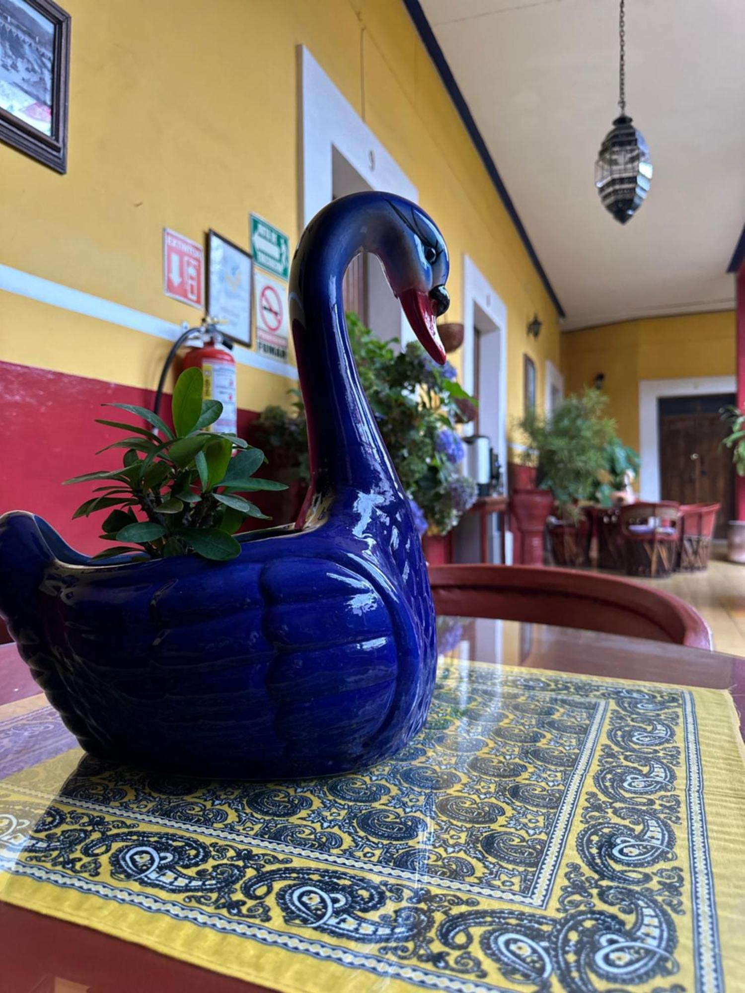 Copa De Oro Hotel Boutique Маскота Екстер'єр фото