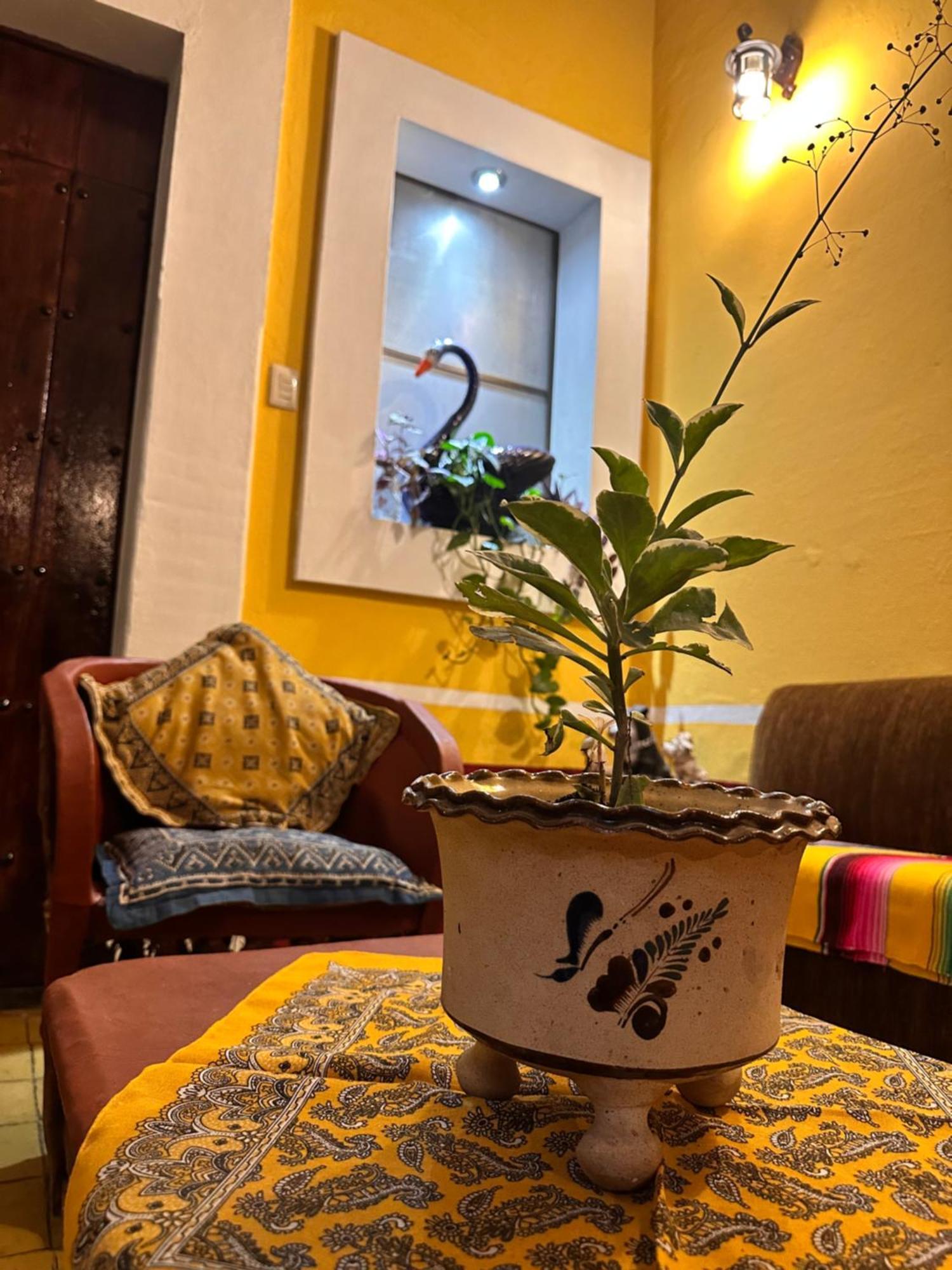 Copa De Oro Hotel Boutique Маскота Екстер'єр фото