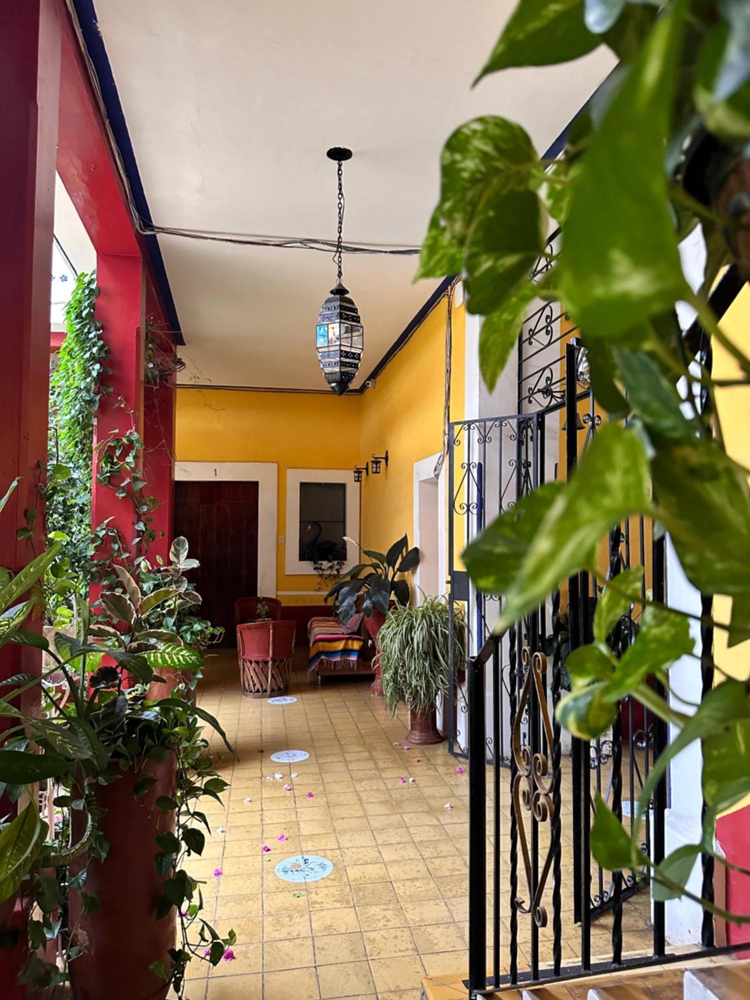 Copa De Oro Hotel Boutique Маскота Екстер'єр фото