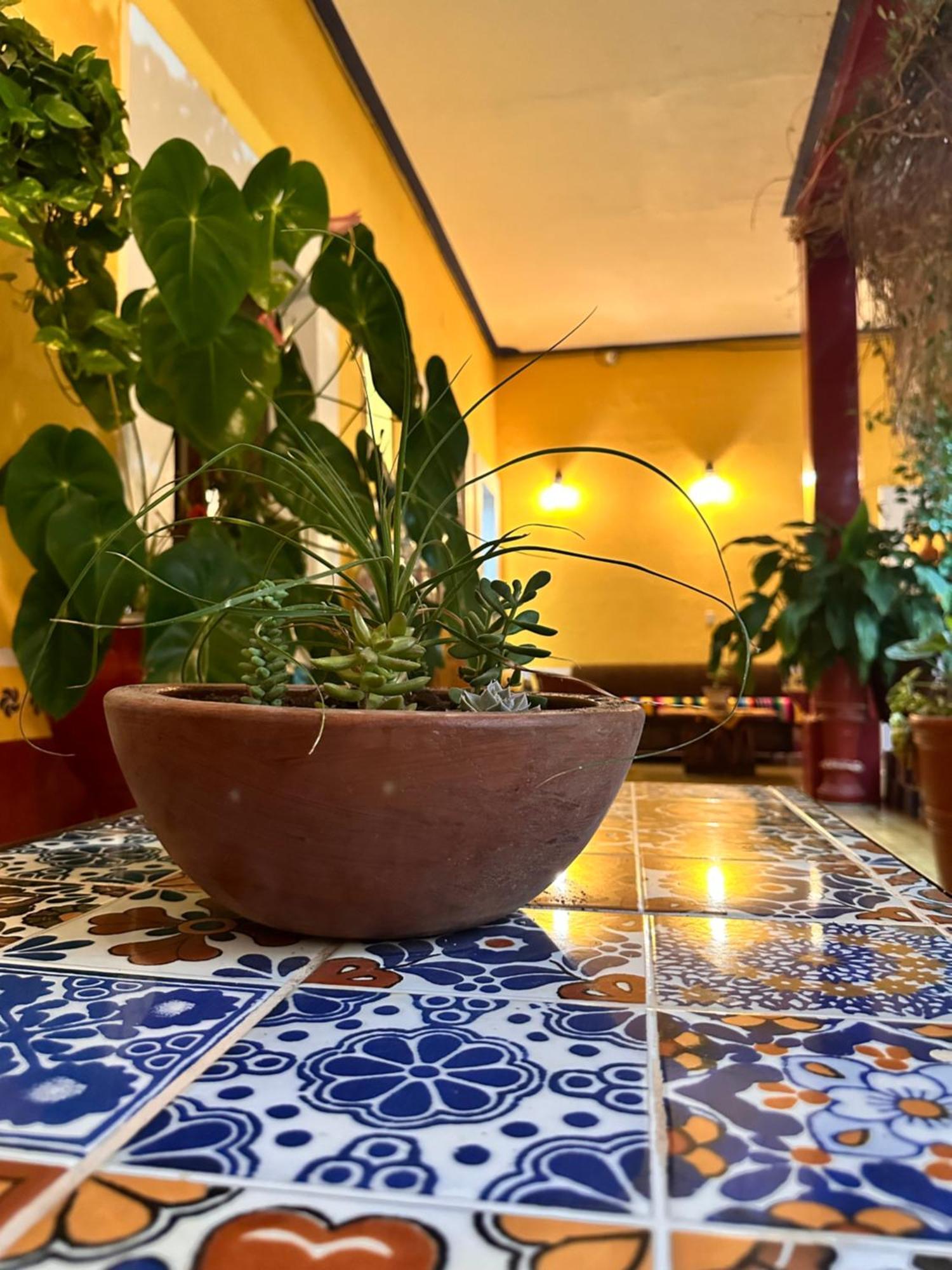 Copa De Oro Hotel Boutique Маскота Екстер'єр фото